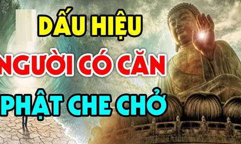 Trời xanh rất thích 'độ' cho 2 kiểu người, bạn có nằm trong số đó?