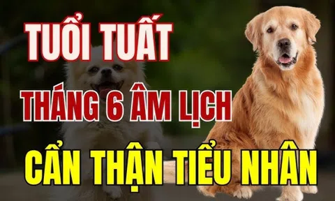 4 tháng sinh “khốn khổ nhất” đối với người tuổi Tuất, giàu có khó đến tay