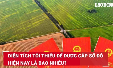 Kể từ nay, diện tích tối thiểu để được cấp sổ đỏ là bao nhiêu?