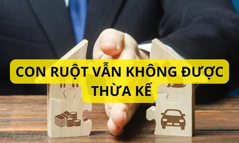 Không phải cứ con ruột là được thừa kế tài sản của cha mẹ. Ai cũng cần phải biết tránh thiệt thòi