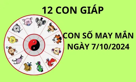 Tử vi ngày 7/10, chọn con số may mắn rước tài lộc cho 12 con giáp khởi sắc giàu sang