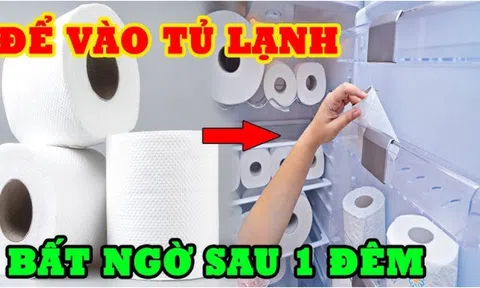 Đặt cuộn giấy vệ sinh vào tủ lạnh: Mẹo hay nhà nào cũng cần ai không biết quá đáng tiếc