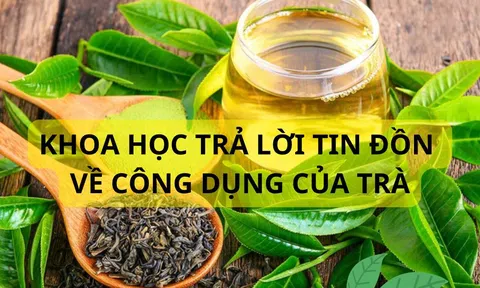 Uống trà hay không uống trà sẽ sống thọ hơn? Khoa học đã nghiên cứu và cho câu trả lời bất ngờ