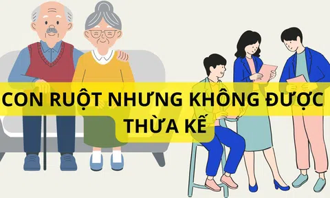 Những trường hợp con ruột cũng không được thừa kế từ cha mẹ mà ai cũng cần biết