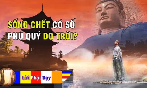 Phật dạy: 'Sống chết có số, phú quý do trời', vế sau ai biết được sống mới an yên