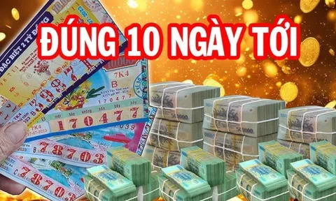 Từ 2/11 đến 12/11: 3 tuổi tài lộc rực sáng, Tiền-Danh-Lợi phất như vũ bão