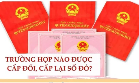 Từ 11/2024-1/1/2025: 7 trường hợp cần đi cấp đổi lại Sổ đỏ nếu không muốn thiệt thòi vì mất quyền lợi