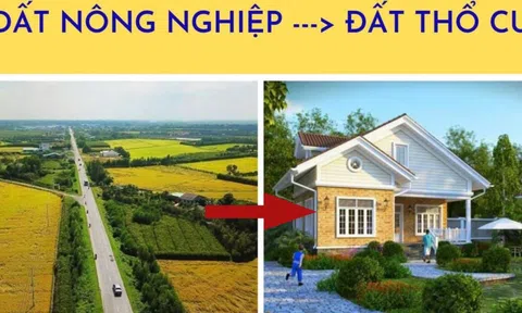 Trường hợp đất nông nghiệp nào được chuyển đổi sang đất ở?