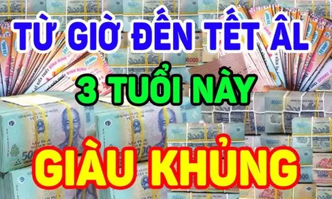 Từ nay đến Tết Nguyên đán 2025: 3 tuổi Vét Cạn ví Thần Tài, giàu nhất là số 2