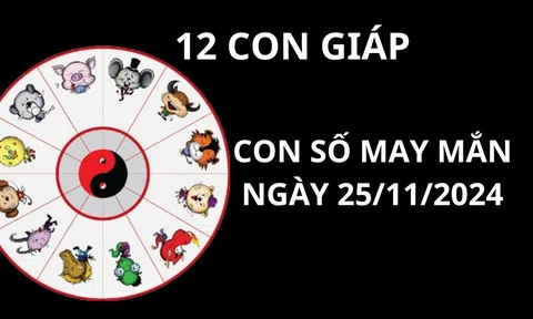 Tử vi ngày 25/11, con số may mắn cho 12 con giáp gặp được lộc của bà cô tổ để thuận lợi phát tài