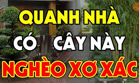 Năm cây trồng vào nhà nào nhà đấy nghèo, cày cuốc như trâu vẫn nợ, chặt bỏ đừng tiếc