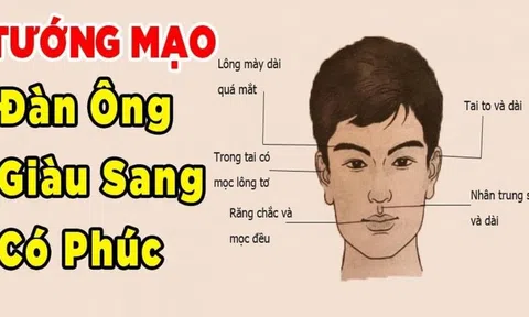 Tướng đàn ông giàu có xuất chúng: Đặc biệt nét tướng thứ 2