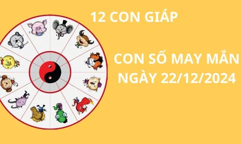 Tử vi ngày 22/12 con số may mắn Phật bà ban tặng giúp 12 con giáp cuối tháng về đích thành công, giàu có