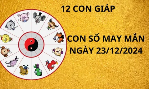 Tử vi ngày 23/12 con số may mắn Thần tài ban lộc tổ tiên ban phước cho 12 con giáp đổi đời giàu có