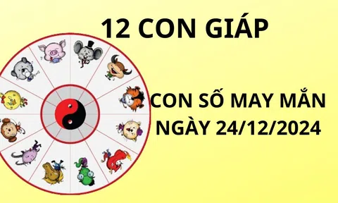 Tử vi ngày 24/12 con số may mắn Phật bà trao cơn mưa vàng tài lộc cho 12 con giáp đổi đời nhờ đây