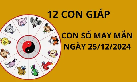 Tử vi ngày 25/12 con số may mắn Thần tài ban lộc, tổ tiên trợ giúp cho 12 con giáp đổi vận giàu sang