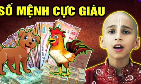 Chúc mừng 4 con giáp Trời ban đại lộc, đầu 2025 trả sạch nợ nần, cầu gì được nấy