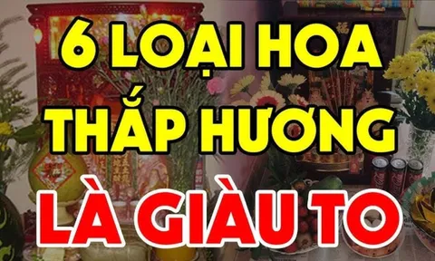 Đúng sáng mùng 1 âm, đặt 6 loại hoa đánh thức tài lộc lên bàn thờ, cả tháng vượng phát, đỏ cả năm mới