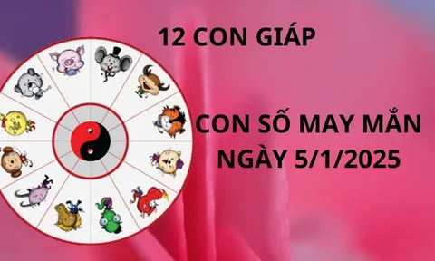 Tử vi ngày 5/1 con số may mắn cho 12 con giáp gặp vận may nhận cơn mưa vàng tài lộc, thăng tiến nhanh