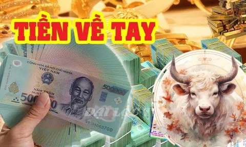 Chúc mừng 3 tuổi ‘sa chân’ vào núi tiền, vùng vẫy trong biển bạc, ăn tết Ất Tỵ cực to