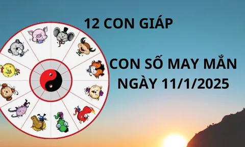 Tử vi ngày 11/1 con số may mắn cho 12 con giáp hưởng lộc tổ tiên ăn lộc nhà trời đổi đời giàu có