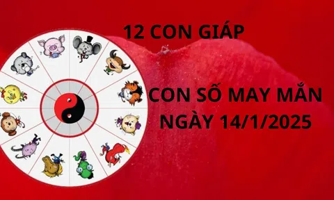 Tử vi ngày 14/1 con số may mắn lộc thánh lộc trời rơi vào nhà 12 con giáp giúp chuyển vận giàu có