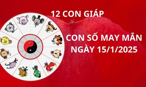 Tử vi ngày 15/1 con số may mắn thần tài ban lộc cho 12 con giáp gặt hái thành công phát tài giàu có