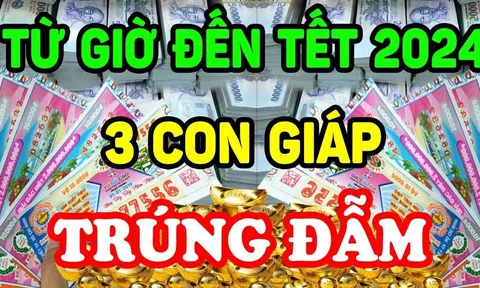 Qua đêm nay đến Tết Ất Tỵ: 3 tuổi Nổ Lộc giàu hơn Thần Tài, 2 tay hứng vàng hứng bạc