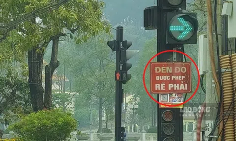 Bắt đầu từ năm 2025: Chỉ có 5 trường hợp được rẽ phải khi đèn đỏ, không biết là bị phạt nặng