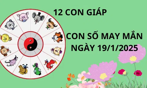 Tử vi ngày 19/1 con số may mắn số vàng tài lộc giúp 12 con giáp gặt hái thành công tình tiền tốt lành