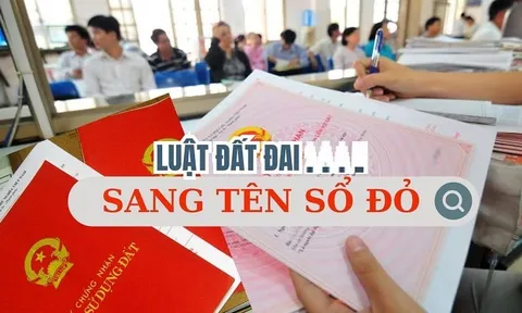 8 trường hợp không được sang tên, 6 trường hợp bị thu hồi sổ đỏ, là những ai?