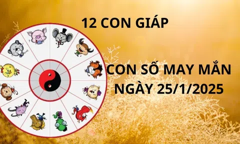 Tử vi ngày 25/1 con số may mắn số vàng tài lộc trời thương tổ độ cho 12 con giáp cơ hội giàu sang