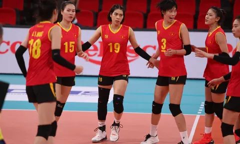 Liên đoàn bóng chuyền Việt Nam: 'Chúng tôi mới chỉ hỏi ý kiến CLB'