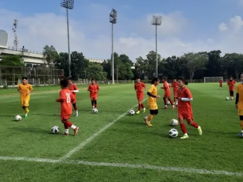 Indonesia 'chơi đẹp' với Việt Nam sau lùm xùm giải AFF