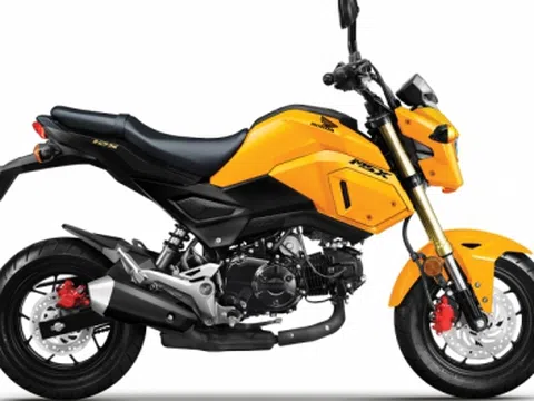 Honda MSX 125 2020 “thay áo” mới, giá 49,99 triệu đồng