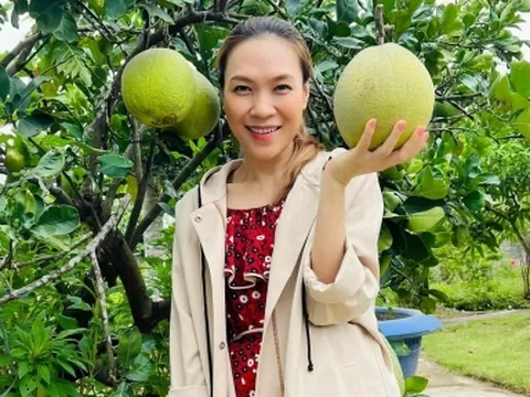 Phản ứng bất ngờ của Mỹ Tâm khi bị đồn mang bầu lần 2 