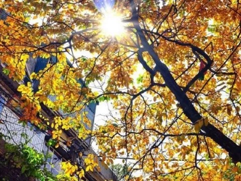 Dự báo thời tiết 10 ngày tới trên cả nước thời hạn từ ngày 1-11/9: Trời Thu mát mẻ dễ chịu