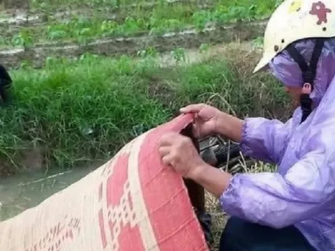 Hải Phòng: Xót xa vụ 2 người đi xe máy về quê nghỉ lễ bị sét đánh trúng 