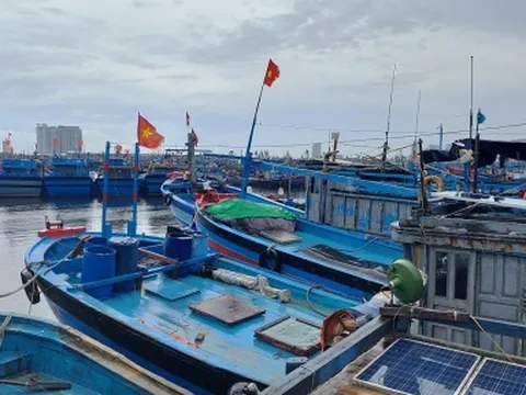 Đà Nẵng chính thức cấm người ra đường từ 20h00 tối nay 27/9 để tránh bão