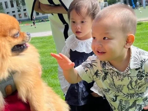 Học hỏi cách dạy con độc đáo nhà Hồ Ngọc Hà và Kim Lý, ai cũng nể