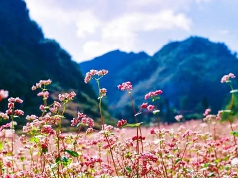 Dự báo thời tiết 10 ngày tới trên cả nước thời hạn từ 6-16/10: Chiều tối và đêm có mưa rào