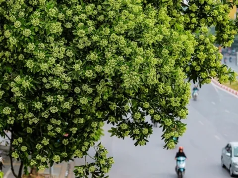 Dự báo thời tiết 10 ngày tới trên cả nước thời hạn từ 8-18/10: Không khí lạnh tràn về