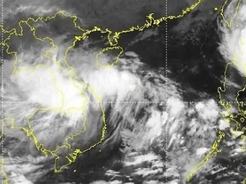 Áp thấp nhiệt đới đổ bộ đất liền từ Quảng Nam đến Quảng Ngãi