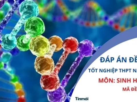 Đáp án đề thi môn Sinh Học mã đề 215 kỳ thi tốt nghiệp THPT Quốc Gia 2022