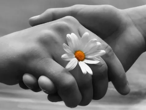 3 con giáp nổi tiếng bao dung, ai yêu được sẽ vô cùng hạnh phúc