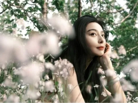 Phạm Băng Băng được ca ngợi trong sách giáo khoa, chuyện gì đây?