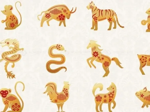 Tử vi 12 con giáp ngày 23/9/2022: Tin vui tới dồn dập với tất cả các tuổi