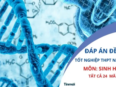  Đáp án đề thi môn SINH HỌC THPT Quốc gia năm 2022 TẤT CẢ MÃ ĐỀ cập nhật nhanh nhất