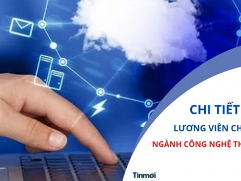 Chi tiết cách xếp lương viên chức chuyên ngành công nghệ thông tin 