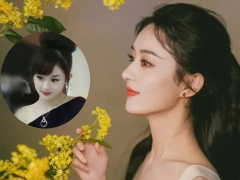 Ảnh thời 'chân ướt chân ráo' của Triệu Lệ Dĩnh có gì mà khiến dân mạng tranh cãi?